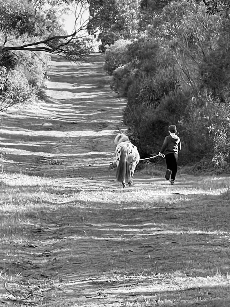 Child leading a pony up a path